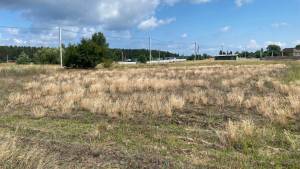 Земельна ділянка W-7442510, Приморська, Лютіж - Фото 1