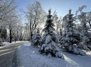 Квартира W-7433807, Грушевского Михаила, 28/2, Киев - Фото 6