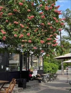 Квартира W-7435785, Бастіонна, 10, Київ - Фото 9