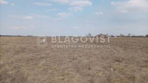 Земельный участок W-7404214, Гоголев - Фото 1