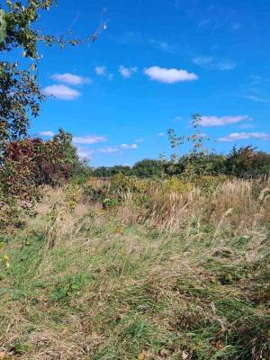 Земельный участок W-7429355, Крюковщина - Фото 3