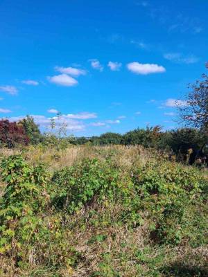 Земельный участок W-7429355, Крюковщина - Фото 4