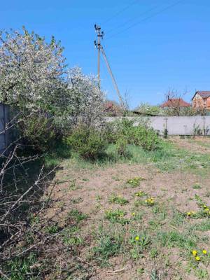 Земельный участок W-7429357, Крюковщина - Фото 4