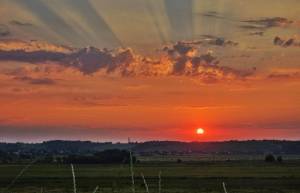 Земельный участок W-7429358, Бобрица (Киево-Святошинский) - Фото 5