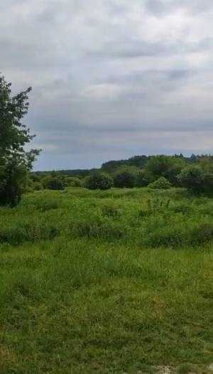 Земельный участок W-7429359, Новоселки (Вышгородский) - Фото 3