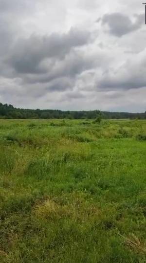 Земельный участок W-7429359, Новоселки (Вышгородский) - Фото 4