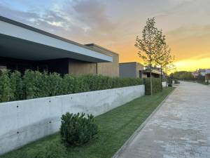 Будинок W-7429376, Романків - Фото 1