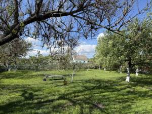 Дом W-7429405, Франко Ивана, Киев - Фото 13