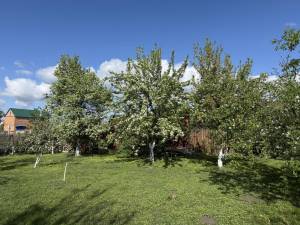 Дом W-7429405, Франко Ивана, Киев - Фото 12