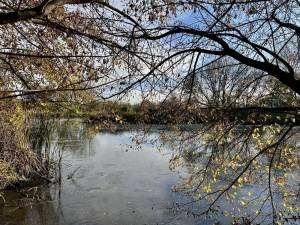 Земельна ділянка W-7440711, Садова (Осокорки), Київ - Фото 1