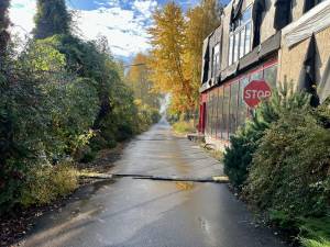 Земельна ділянка W-7440711, Садова (Осокорки), Київ - Фото 5