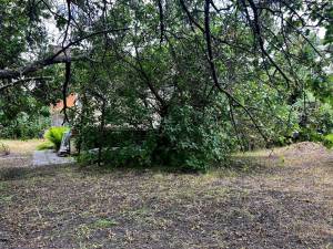 Земельна ділянка W-7440712, Садова (Осокорки), Київ - Фото 10