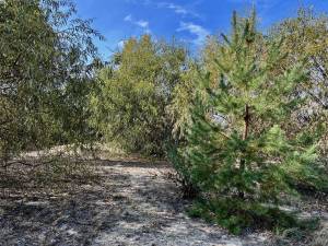 Земельна ділянка W-7440716, Садова (Осокорки), Київ - Фото 2