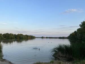  Отдельно стоящее здание, W-7446773, Центральная, Киев - Фото 2