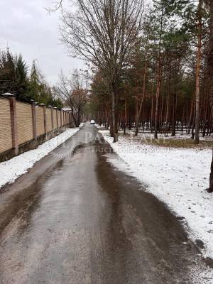 Земельна ділянка W-7363786, Дмитрівка (Києво-Святошинський) - Фото 4