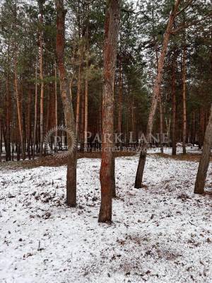 Земельна ділянка W-7363786, Дмитрівка (Києво-Святошинський) - Фото 1