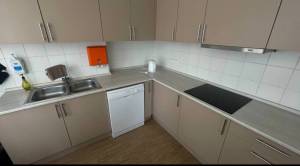  Нежилое помещение, W-7424005, Джона Маккейна (Кудри Ивана), 7, Киев - Фото 9