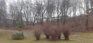 Земельна ділянка W-7442515, Болсуновський пров. (Мічуріна пров.), Київ - Фото 1