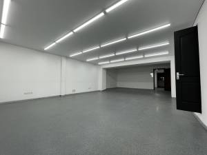  Отдельно стоящее здание, W-7390387, Бульварно-Кудрявская (Воровского), Киев - Фото 9