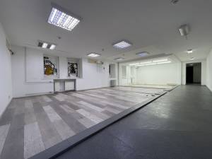  Отдельно стоящее здание, W-7390387, Бульварно-Кудрявская (Воровского), Киев - Фото 11