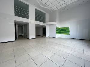  Нежитлове приміщення, W-7423351, Шевченка Т.бул., 58, Київ - Фото 13