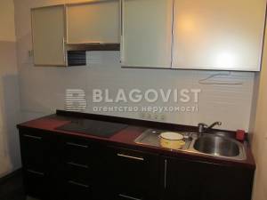  Офис, W-7380262, Круглоуниверситетская, 3/5, Киев - Фото 13