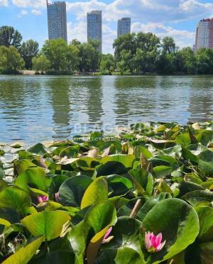  Нежилое помещение, W-7419198, Шумского Юрия, 1, Киев - Фото 14