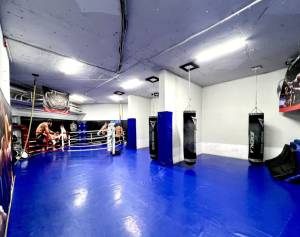  Нежитлове приміщення, W-7420713, Рудницького Степана (Вільямса Академіка), 5а, Київ - Фото 7