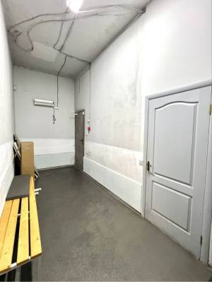  Нежитлове приміщення, W-7420713, Рудницького Степана (Вільямса Академіка), 5а, Київ - Фото 4