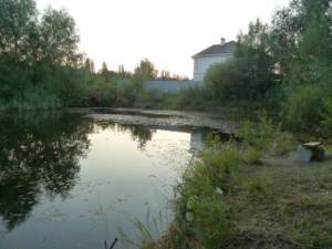 Земельный участок W-7434564, Козацкая, Козин (Конча-Заспа) - Фото 9