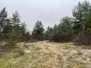  Имущественный комплекс, W-7441631, Погребы (Броварской) - Фото 6