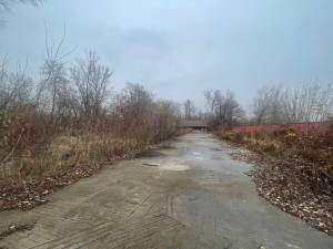  Имущественный комплекс, W-7441631, Погребы (Броварской) - Фото 5