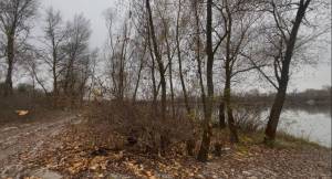  Имущественный комплекс, W-7441631, Погребы (Броварской) - Фото 15