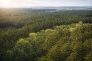 Будинок W-7443381, Зелена, Білогородка - Фото 7