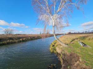 Будинок W-7429415, Коржі - Фото 14