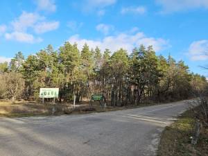  Земельна ділянка, W-7454503, Коржі - Фото 10