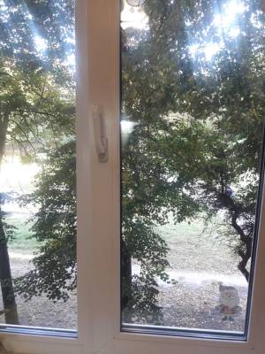 Квартира W-7441095, Зодчих, 62б, Київ - Фото 3