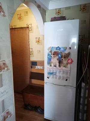 Квартира W-7377541, Березняковская, 24, Киев - Фото 6