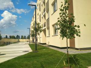 Квартира W-7348926, Дерегуса Михайла, 42, Київ - Фото 11