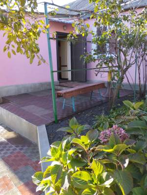 Квартира W-7326194, Лукаша Миколи (Скрипника Миколи), Київ - Фото 1