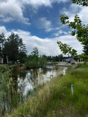 Земельна ділянка W-7432666, Західно-об'їзна, Осещина - Фото 6