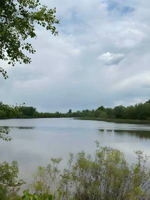 Земельна ділянка W-7432666, Західно-об'їзна, Осещина - Фото 14