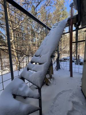  Гараж, W-7435219, Світла, 6б, Київ - Фото 5