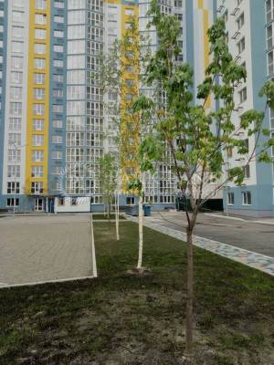 Apartment W-7277488, Vyshniakivska, 4, Kyiv - Photo 6