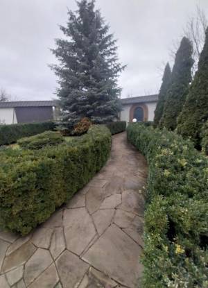 Дом W-7355563, Витавская, Киев - Фото 8