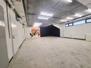  Окремо розташована будівля, W-7346236, Кожум'яцька, 10, Київ - Фото 15