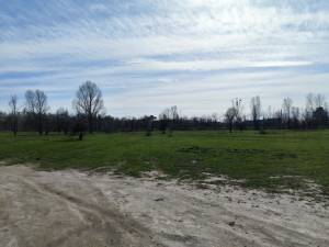 Земельный участок W-7446806, Горенка - Фото 2