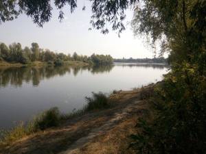 Земельный участок W-7023048, Набережная, Пуховка - Фото 10