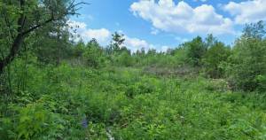 Земельна ділянка W-7363850, Дерев`янки - Фото 9