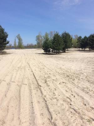 Земельна ділянка W-7440138, Набережна, Пухівка - Фото 12